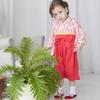 nobistar Hakama Romper for Girls, Sizes 70, 60, and 80cm, for Newborns, Babies, and Kids, Perfect for Girls' Festival (Ky37301-70-SRED)