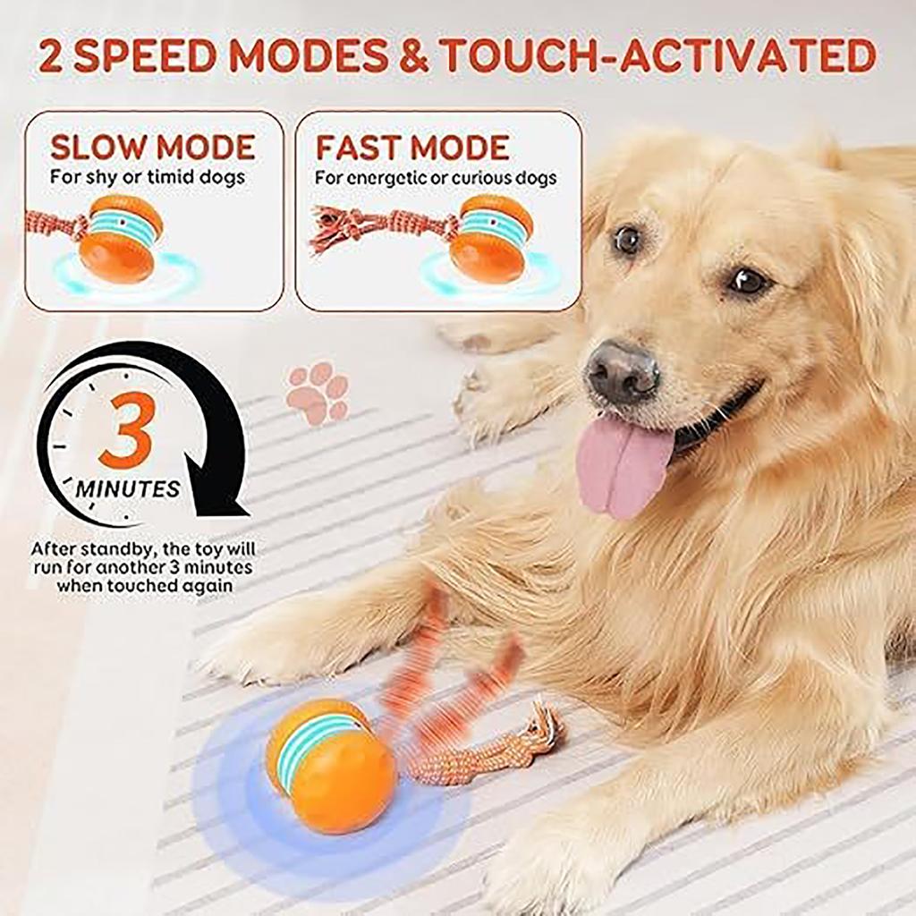 Interactive Dog Ball, Random Path, Electric Automatic Moving And Rolling Dog Toy With Rope For Small, Medium And Large Dogs, Motion Activated
