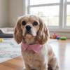 Breathable Cat Dress Collar Soft Comfortable Pet Tie Pet Tuxedo Ties Collar  Birthday Parties
