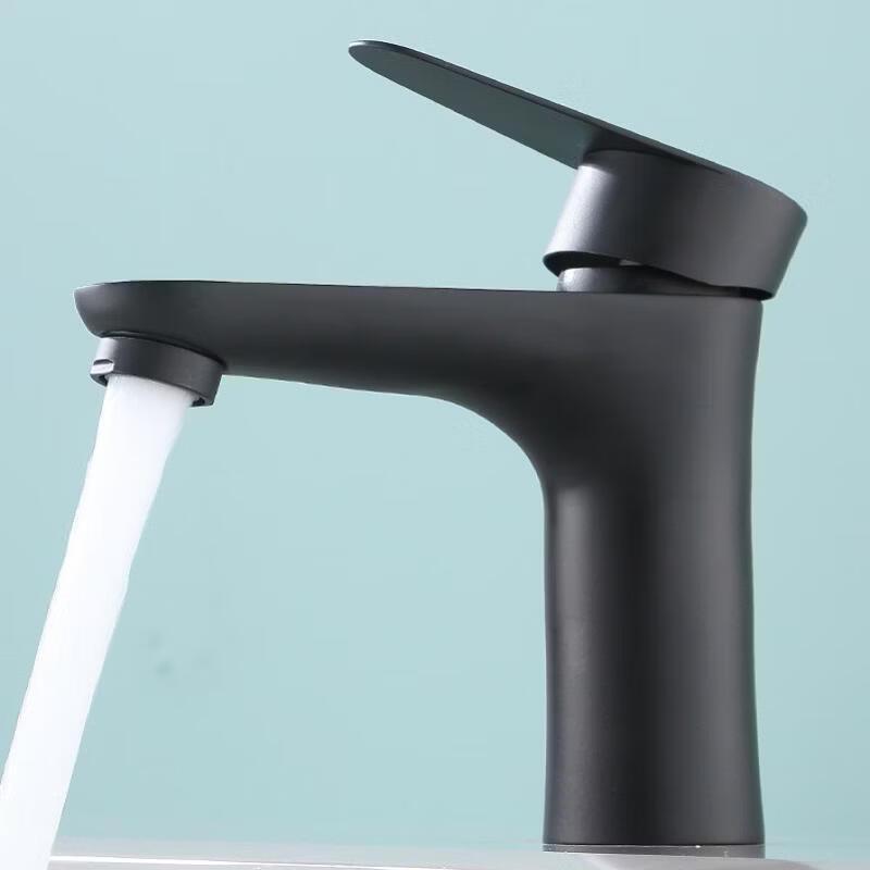 

TLXT Black Stainless Steel Hot Water Basin Faucet