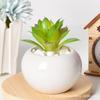 Simple Succulent Flower Pot Plant Potted Mini Round Ceramic Pot Home Decoration Green Plant Small Flower Pot