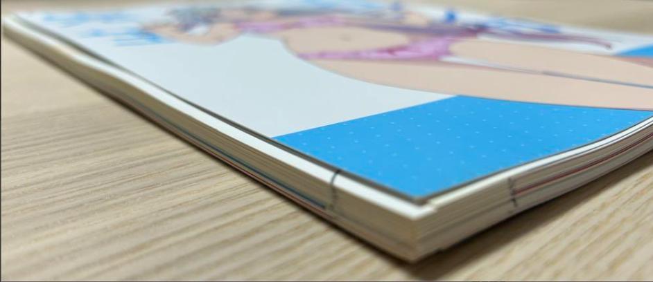 [USED] (Cut) Eromanga Sensei Original Art Collection