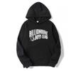 Unisex Oversized Hoodie With 3D Graphic Print Air Layer Fabric Fall Casual Streetwear Teens Adults