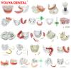 1ks Model horní/dolní čelisti s dentálními implantáty Čelist 2/4/6 implantátů Zuby Výukový model Stomatologie Odnímatelné studijní modely Pro vzdělávací demonstraci