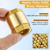 2pcs Brass Spring Check Valve 1/2 3/4 1 Inch NPT Female Thread Non Return One Way Horizontal Vertical In-Line Water Check Valve