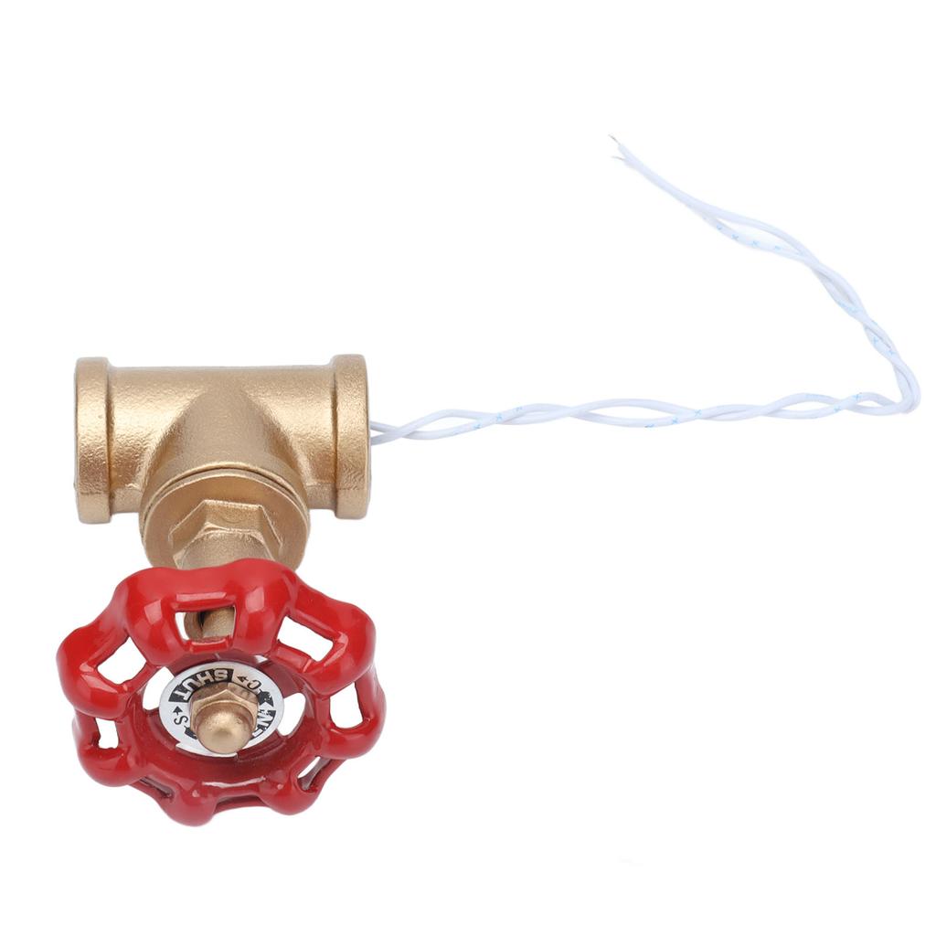 Interruttore Luce Industriale G1/2 Interruttore Luce Tubo Acqua Interruttore Lampada Steampunk con Filo 12V/120V