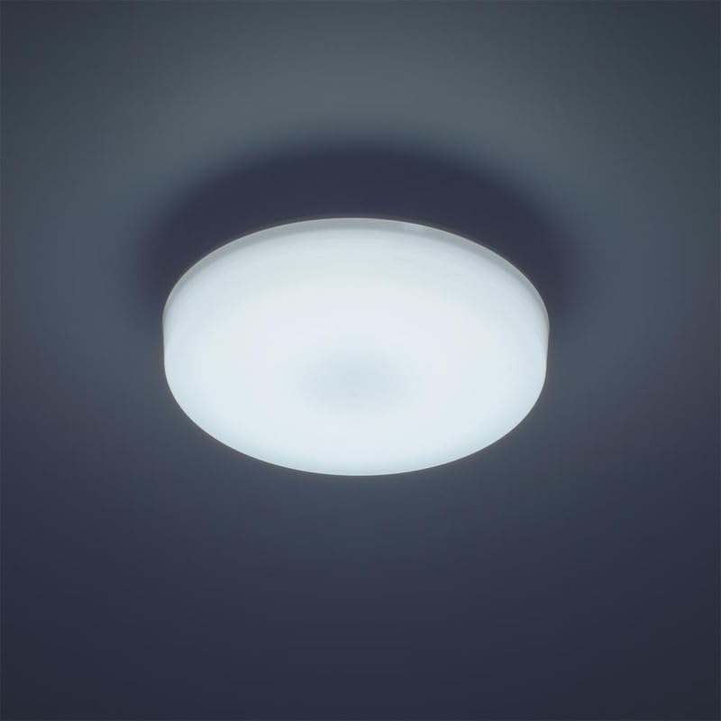 OHM Electric LED Ceiling Light, Compact, 100W, 1650 Lumens, Daylight, Mini Ceiling Light for Entryways, Toilets, and Bathrooms, LE-Y13B-WD (06-5063)