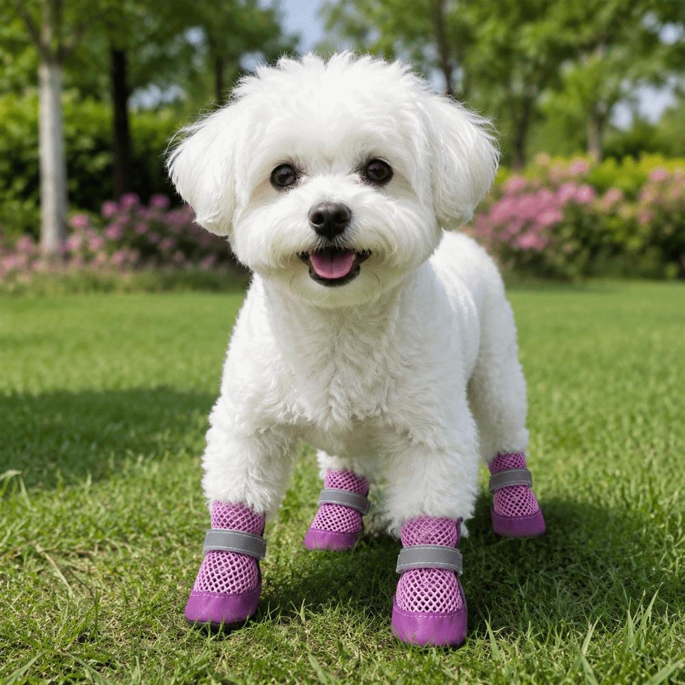 4PCS/SET Wear-Resistant Pet Mesh Shoes Non-Slip Pet Paw Protector Dog Boots Pet Footwear Walking