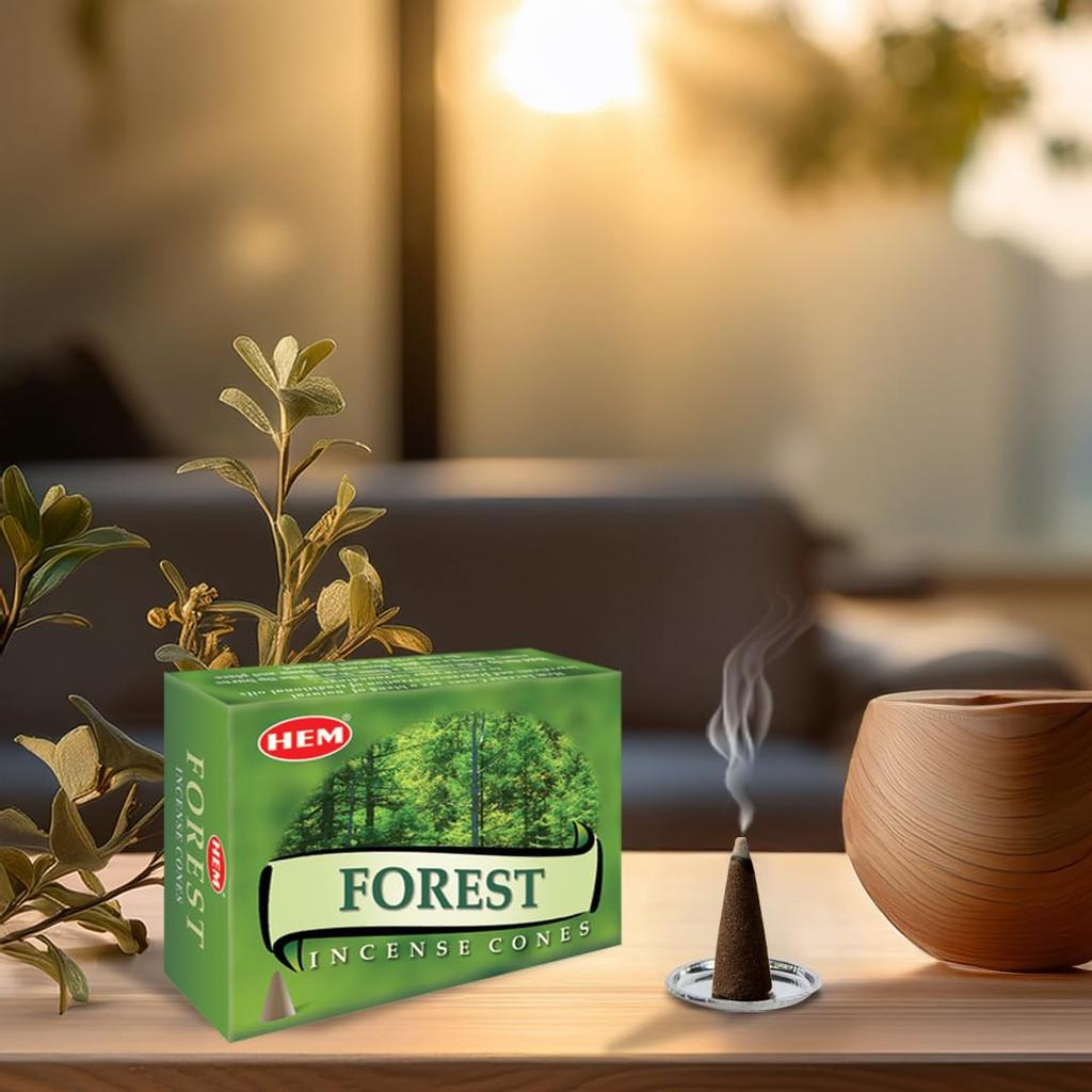 HEM incense cones forest 12 pcs