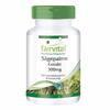 Fairvital Extract de Palmier de Salvie 300 mg 90 Capsule