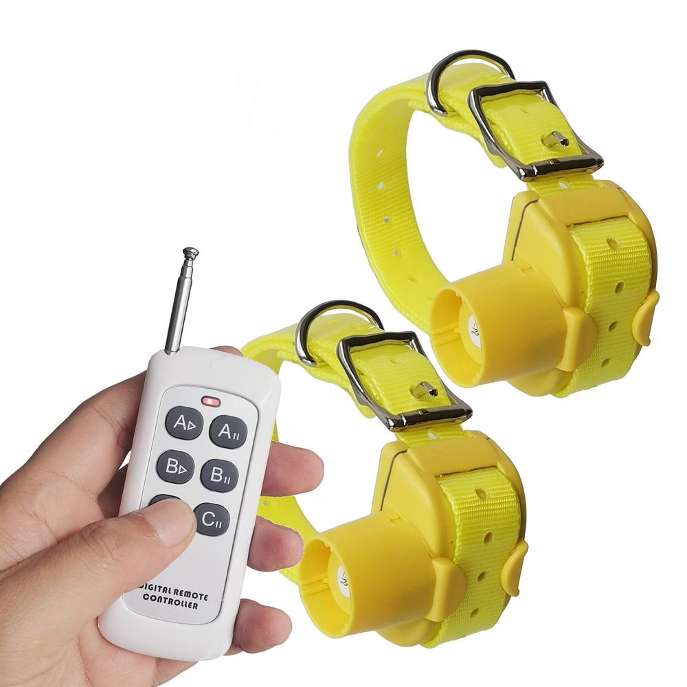 Zgardă de dresaj pentru animale de companie