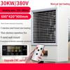 LIUQI Industrial Electric Fan Heater