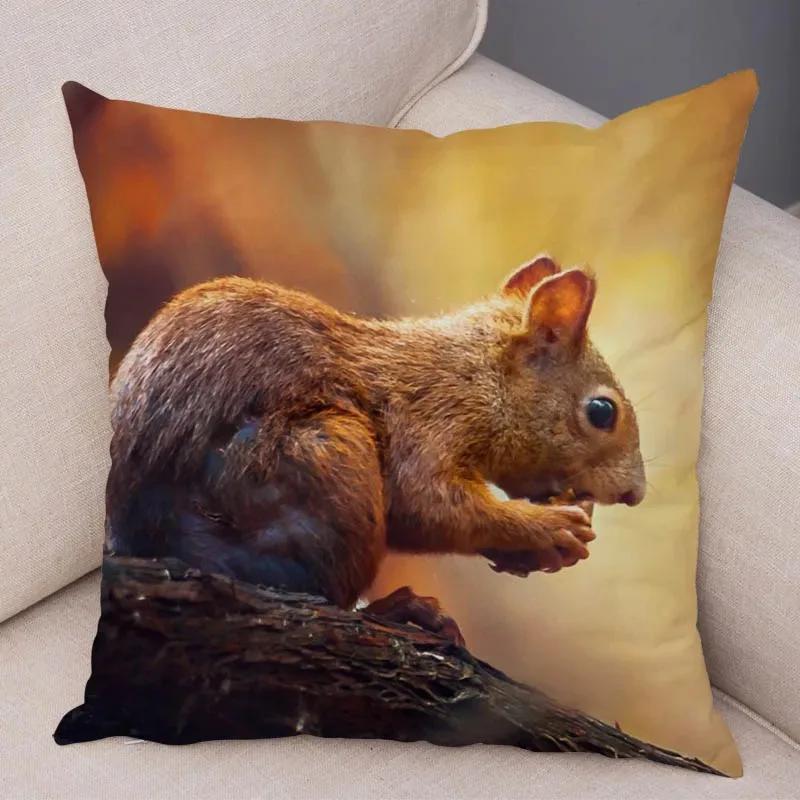 Cute Squirrel Cushion Cover Pillowcase Pillow Covers Home Decor Pet Animal Pillows Case Super Soft Polyester Pillows Covers