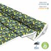 Outdoor Dekostoffe Oxford - Motiv Obst | Dx7024