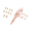 1/6 Flexible Female Body Model for 12'' Action Figure Soldier Doll Toy Skin