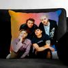 5-5Sos Band Cushion Cover Pillowcase Ultra Soft Skin Friendly Fabric Cloud Like Comfort & Concealed Zipper