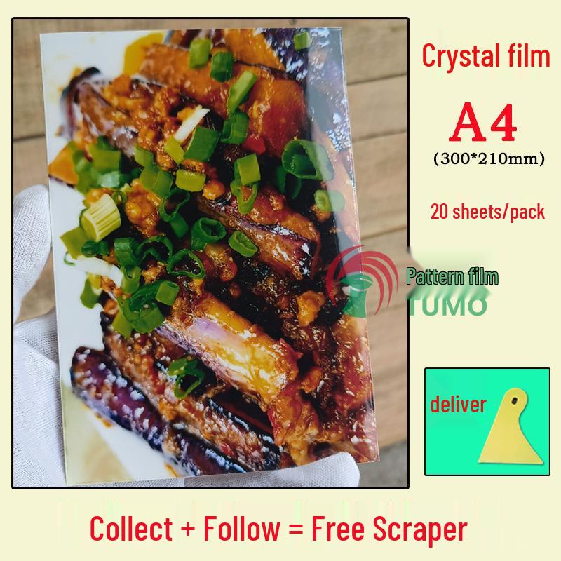 Glossy A4 Cold Lamination Film, Self-Adhesive for Photo and Bookmark Protection, 6-Inch Specimen Laser Leaf