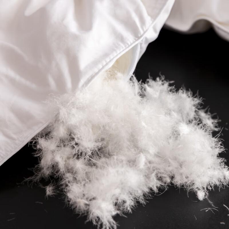 Grace All-Season Cotton White Goose Down Quilt