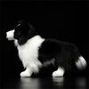 Border Collie Hohe Treue Anime Niedlicher Plüschtier Schäferhund Plüschtiere Lebensechte Tiere Simulation Stofftier Kawaii Spielzeug Geschenke