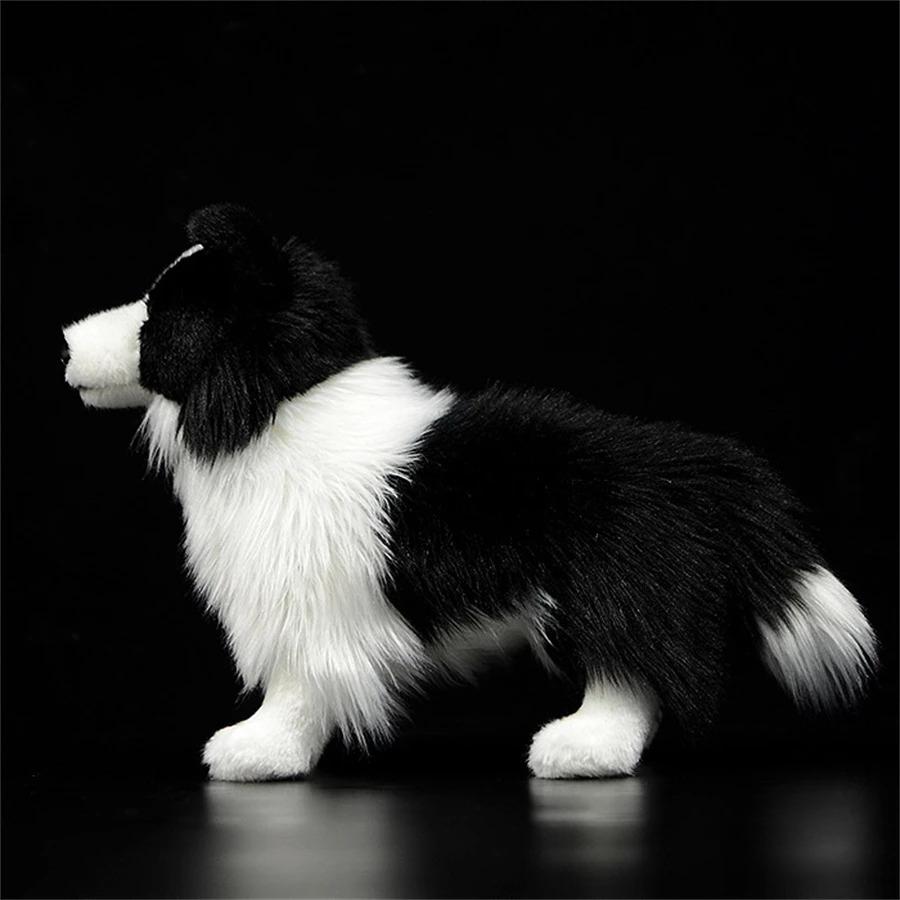 Border Collie Hohe Treue Anime Niedlicher Plüschtier Schäferhund Plüschtiere Lebensechte Tiere Simulation Stofftier Kawaii Spielzeug Geschenke