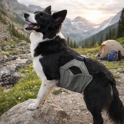 Leak Proof Male Dog Physiological Pants Washable Adjustable Dog Diapers Breathable Reusable Dog Underwear Pet Supplies