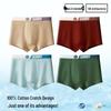 Men's Plus Size 100% Cotton Antibacterial Boxer Briefs