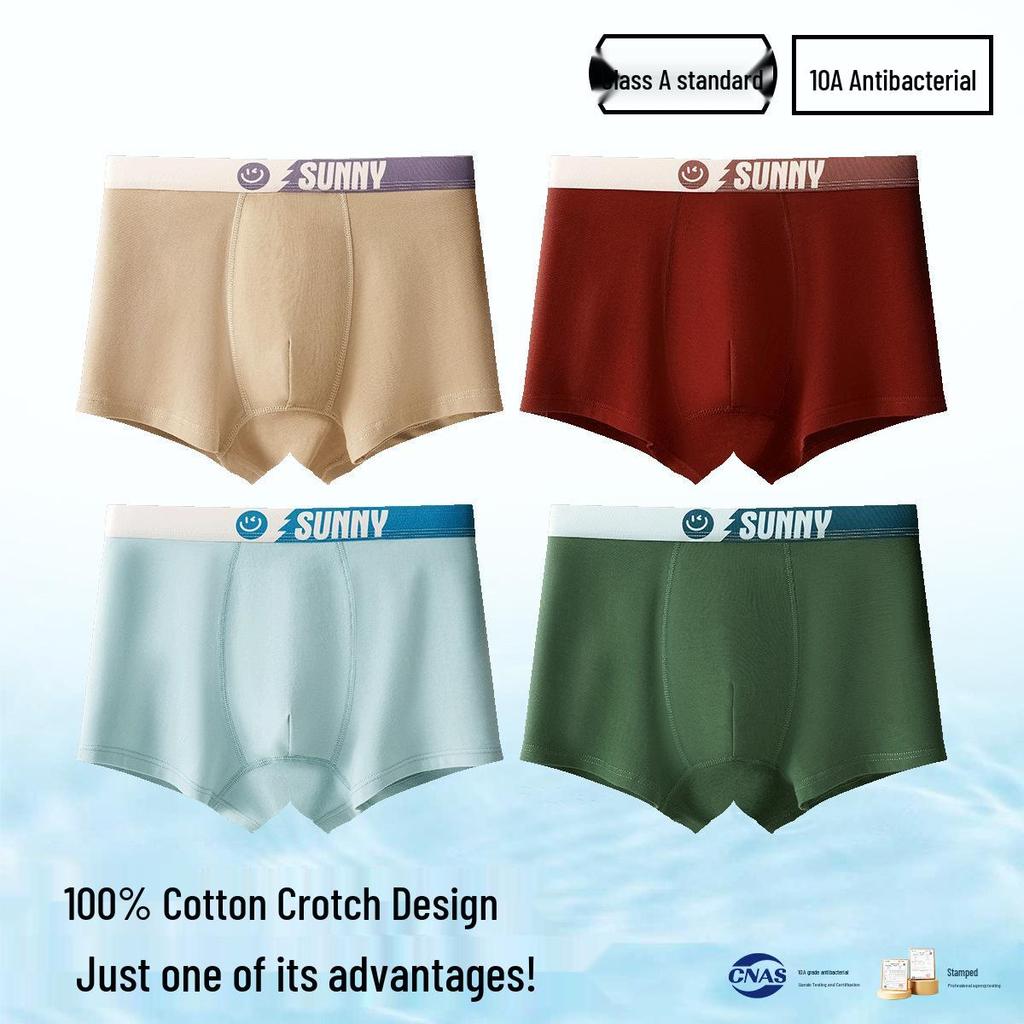 Men's Plus Size 100% Cotton Antibacterial Boxer Briefs