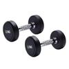 2 Pieces Round Dumbbell Exercise Fitness Women Hand Weights for Strength Training Stainless