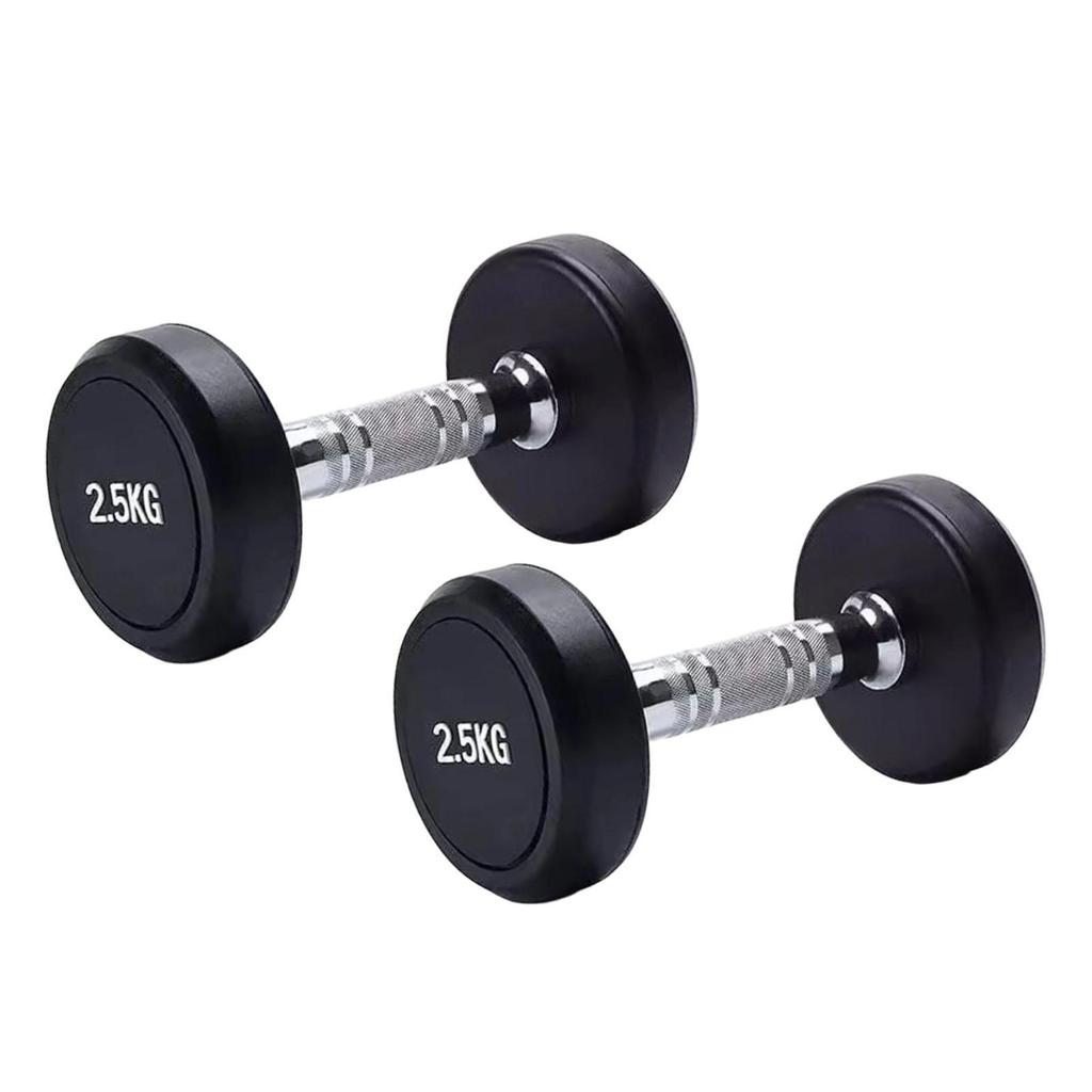 2 Pieces Round Dumbbell Exercise Fitness Women Hand Weights for Strength Training Stainless