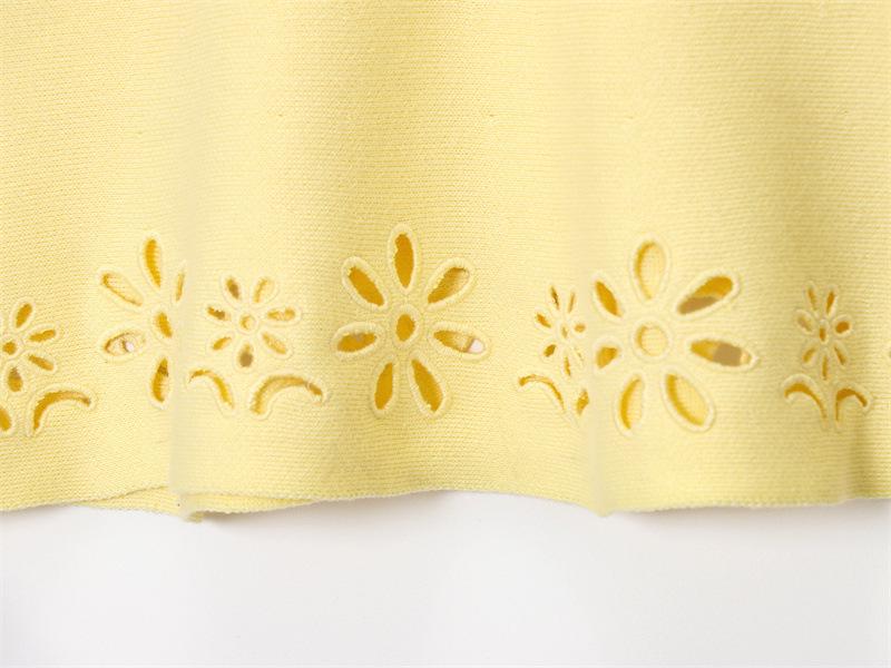 Summer 2025 Euro-American Style Sexy Hollow Embroidery Top & Skirt Set for Women