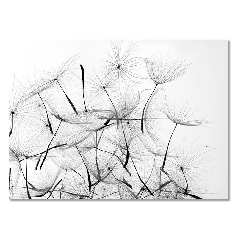 Modern Black and White Dandelion with Quotes, Wall Art, Canvas, Painting, Poster, Printing, Interior Design, Living Room Decoration