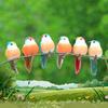 6 Stück Realistische Simulierte Vogeldekoration Mit Natürlichen Federn Und Lebendigen Farben Perfekt Für Garten Hof Haus Party Dekoration Schmuckstück