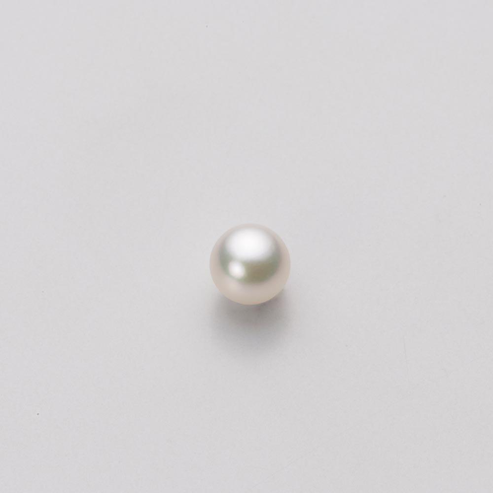 Akoya Pearl Earrings In 18K Gold for HA00045R13CW0PA03Y 4.5mm Women, [Gift Wrapped]