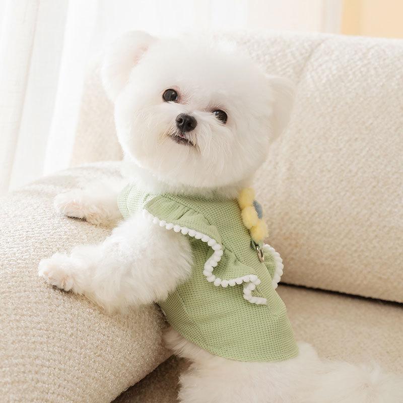 New puppy dog bipeg autumn small flower three-dimensional thin small dog Teddy Bigbear can be towed pet clothes