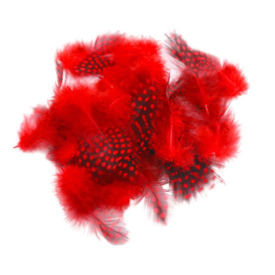 

50Pcs Guineahen Feathers Natural Chicken Tail Feathers Bright Colors 4.5-10cm Feathers for Crafts DIY Earrings Dream Catcher Wedding Easter