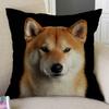Black Background Dog Puppy Portrait Vizsla Husky Shepherd Shibu Cute Sofa Pillow Case Home Decorative Cotton Linen Cushion Cover