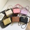 Fashion Texture  Summer Large-capacity New Light Luxury Texture Casual Shoulder Crossbody Portable Small Square Bag