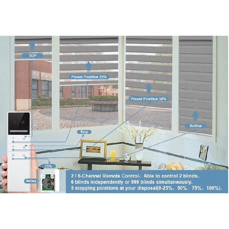 China Factory Wholesal 100% Blackout Day And Night Dual Shade WiFi APP Remote Control Smart Motorized Zebra Blinds For Window