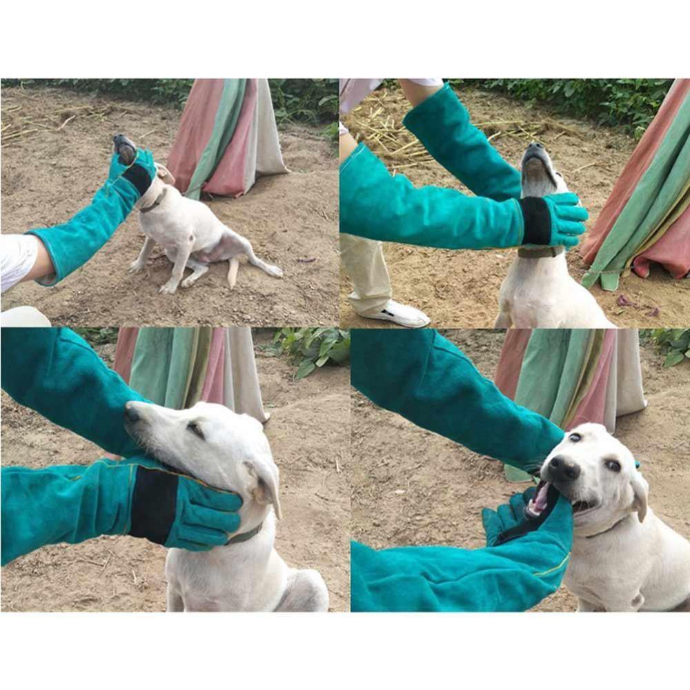 1 Pair Double Layer Construction Animal Handling Gloves Pet Training Gloves Reptile Handling