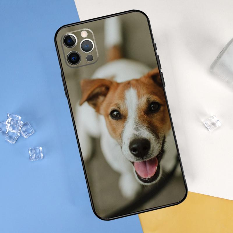 Jack Russell Terrier Hund Handyhülle Für iPhone 16 Pro Max 12 13 Mini 11 14 15 Pro Max XR 16 15 Plus 16e Hülle Schale
