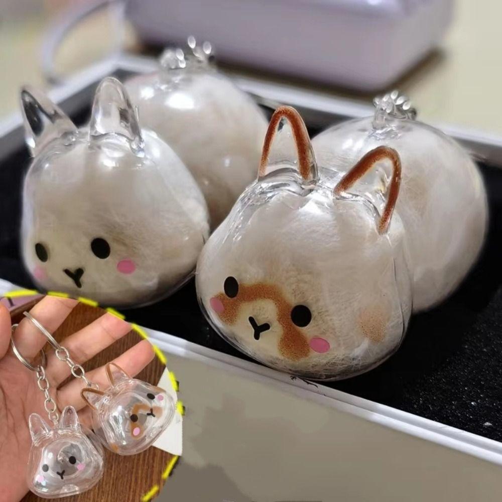 Hair Container Rabbit Hair Collector Transparent Rabbit Hair Storage Box  Jewelry Gifts