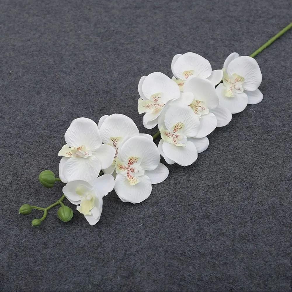 

3pcs 3D Phalaenopsis 69cm 9-Heads Home Supply Artificial Flower 3D Phalaenopsis Real Touch Plants Simulation Butterfly Orchid белый