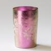 HORIE Titanium Double Wall Tumbler 270ml Pink