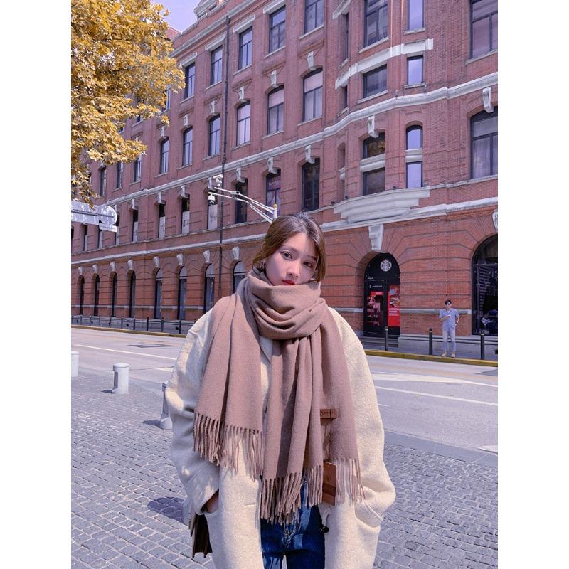 Wool Scarf Women's Autumn and Winter Warm Thickened Cashmere Scarf Versatile Tassel Shawl Korean Style Solid Color Scarf