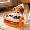   Elevated Cat Bowl with Stainless Steel Double Bowls Anti Spill Raised Pet Food Bowl for Cats Dogs