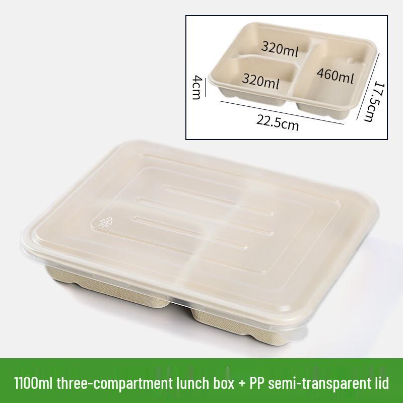 Eco-Friendly Disposable Compartment Lunch Box