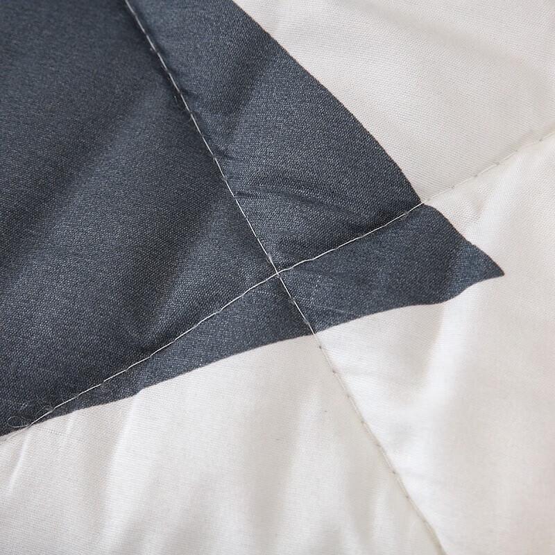 Lan Ruoting Multi-functional Pillow Quilt