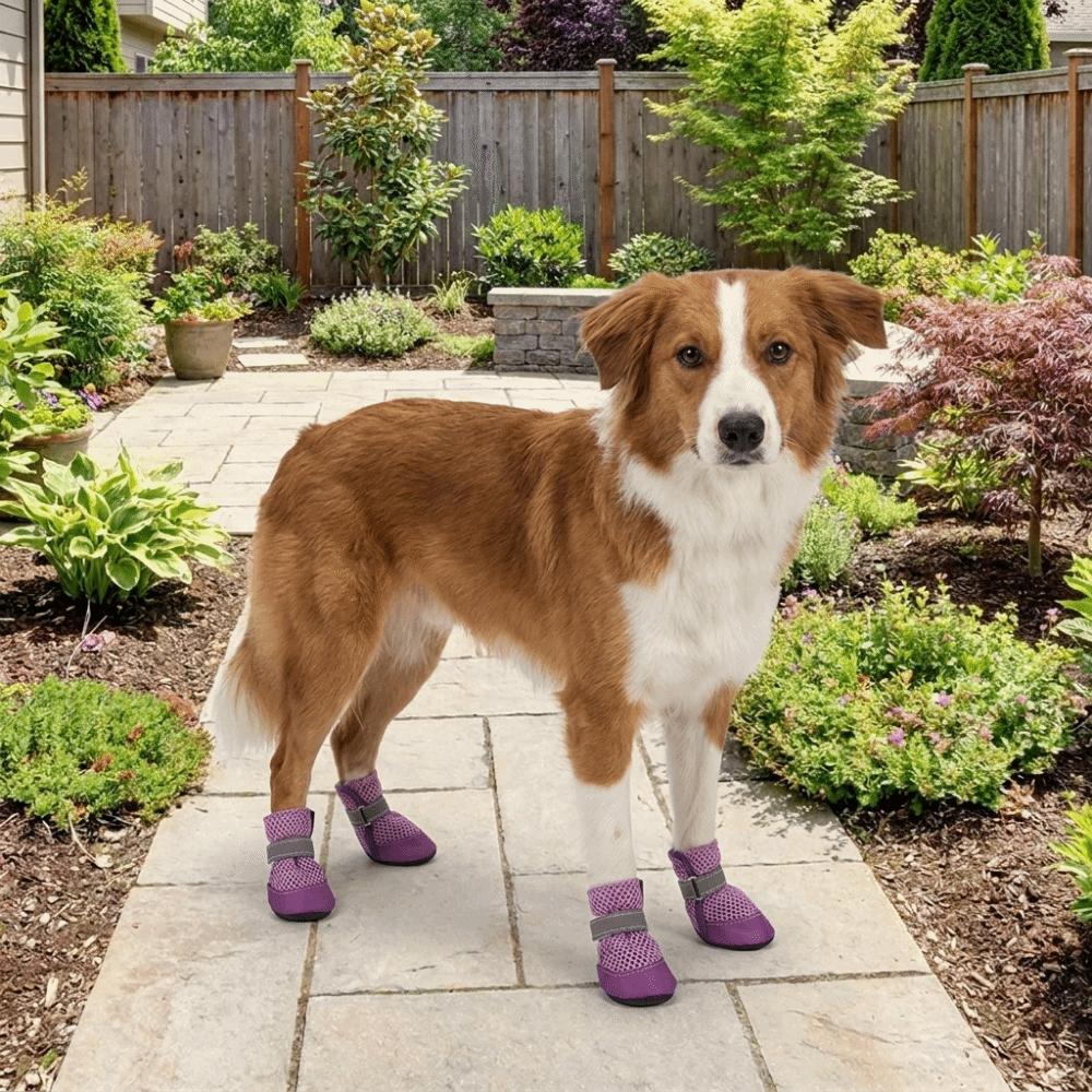4PCS/SET Wear-Resistant Dog Sneakers Breathable Pet Footwear Dog Boots Dog Foot Covers  Training