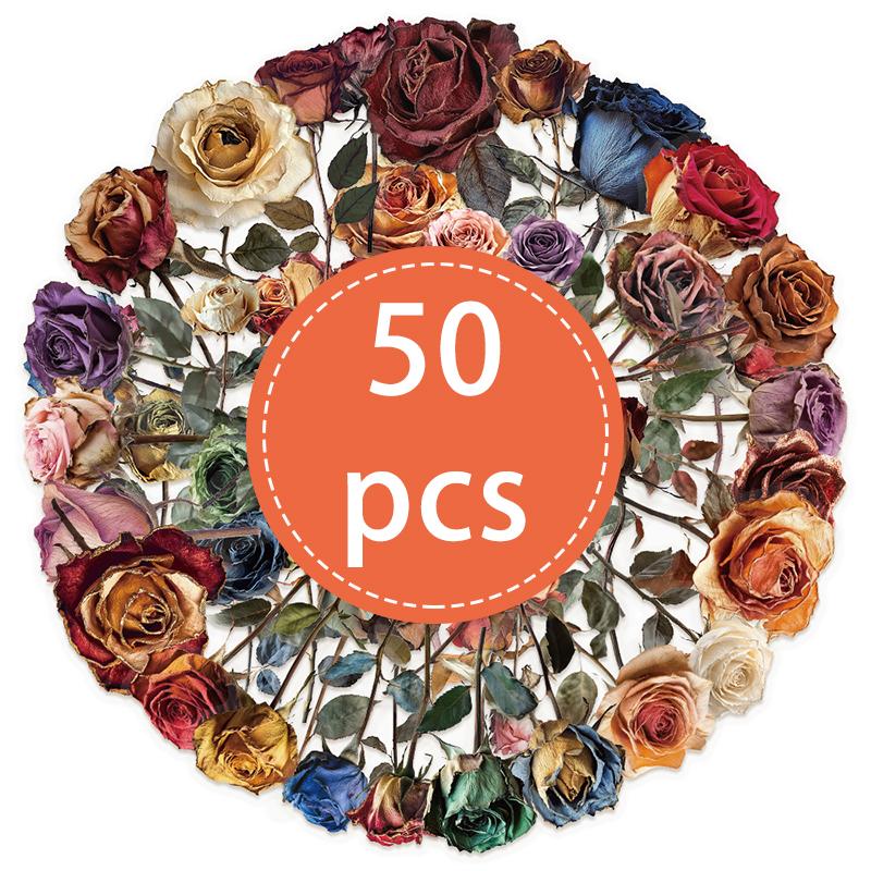 

50PCS Vintage Dried Rose Stickers Aesthetic PET Transparent Flower Botanical Sticker Waterproof Decorative Decals for Scrapbook