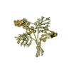 Tree Brooch Pin, Elegant Waist Clasp and Dress Clip for Women, Fashion Accessory